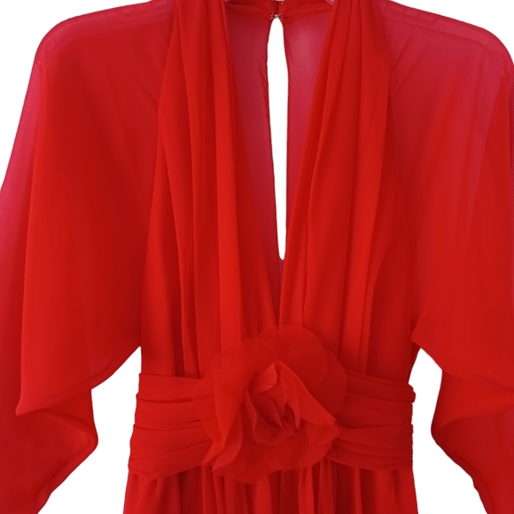 Vintage Farinae Red Rose Dress - Picture 9 of 14